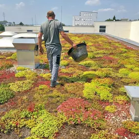 Bild von AR-Dienste Garten- und Landschaftsbau