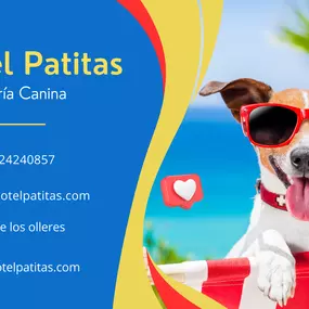 Bild von HOTEL CANINO PATITAS