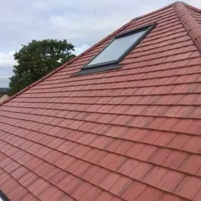 Bild von Sky Heights Roofing Ltd