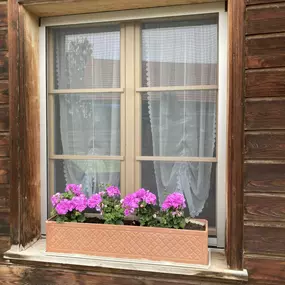 Insektenschutz Meyer GmbH
Insektenschutzrollo, mit diesem Rollo am Fenster lassen sich die Blumen auf dem Fensterbrett problemlos von innen giessen. Ideal zudem bei Fensterläden oder Jalousie.