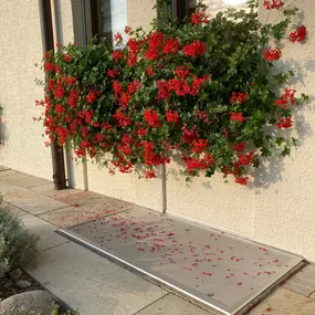 Insektenschutz Meyer GmbH
Lichtschachtabdeckungen vereinfachen Ihr Leben, der Lichtschacht bleibt frei von Dreck, Laub, Insekten und Nagetieren. Auch kombinierbar mit dem Verbau eines Einbruchschutzes.