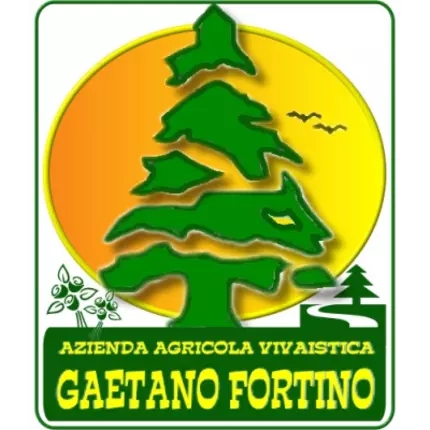 Logo da Azienda agricola vivaistica Gaetano Fortino - Vivai e Piante