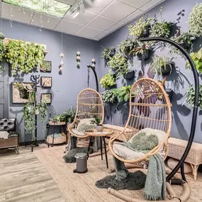 From lush hanging plants to vibrant indoor greens, find the perfect plant to bring your space to life.