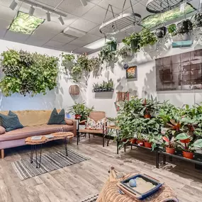 We are dedicated to providing the best plants in the Las Vegas Valley! Our team takes amazing care of our inventory to create a welcoming space until the plants make their way home with you!