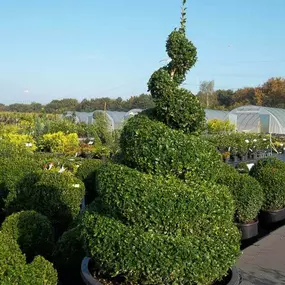 Bild von Daniel Pastors Garten- und Landschaftsbau Inh. Peter Maier