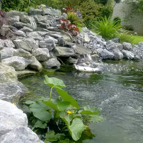 Bild von Baumschule | Garten-&Landschaftsbau Inh. P. Maier