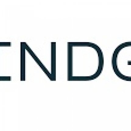 Logo de Mindgard