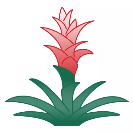 Logo from Bromelia-Apotheke am Kaufland