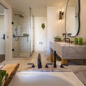 Separate Shower and Tub