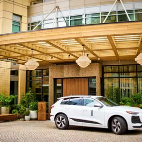 Electric Audi House Car