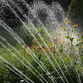 Bewässerung | Gartenbau Wimmer GmbH in München