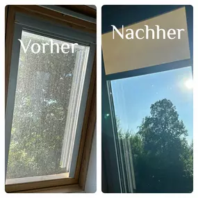 Bild von Glasreinigung FensterBlickfang Flöha