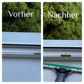 Bild von Glasreinigung FensterBlickfang Flöha