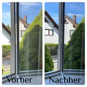 Bild von Glasreinigung FensterBlickfang Flöha