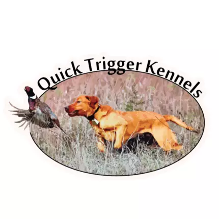 Logo von Quick Trigger Kennels