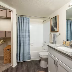 Bathroom with walk-in closet
