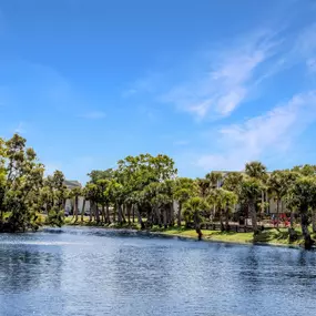 Beautiful lake view