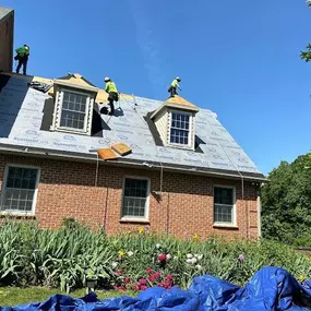 ALP Roofing