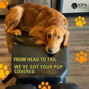 Bild von 100% Chiropractic - Jackson Township