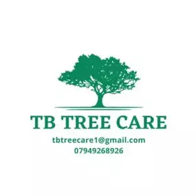 Bild von TB Tree Care