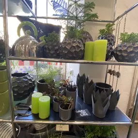 Bild von Blumen schöner schenken