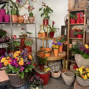 Bild von Blumen schöner schenken