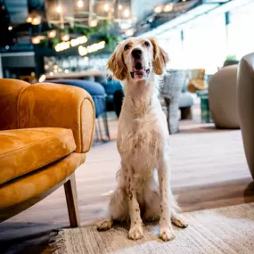 Hotel Motel One Paris-Porte de Versailles - Lounge