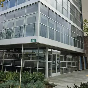 Alternate Beauty Image