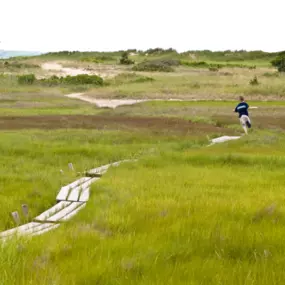 Bild von Menemsha Inn & Cottages