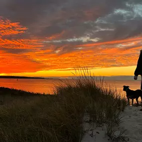 Bild von Menemsha Inn & Cottages