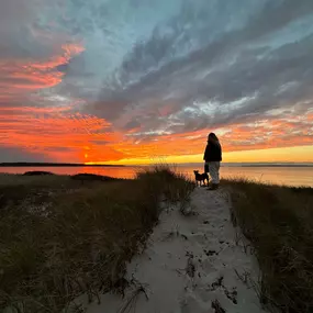 Bild von Menemsha Inn & Cottages