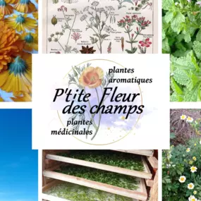 Bild von P'tite Fleur des Champs