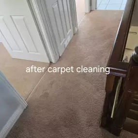 Bild von Unique One Cleaning Ltd