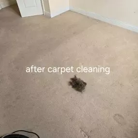 Bild von Unique One Cleaning Ltd