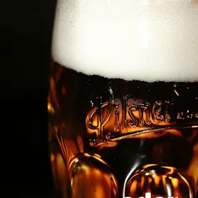 Bild von Das Tollkühn