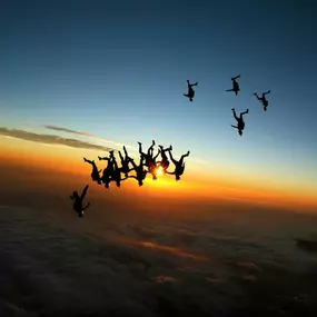 Bild von Skydive Elsinore