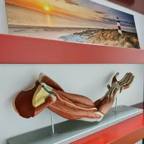 Bild von Physiotherapie und Osteopathie Andersch