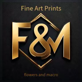 Bild von F&M Fine Art Decoratie