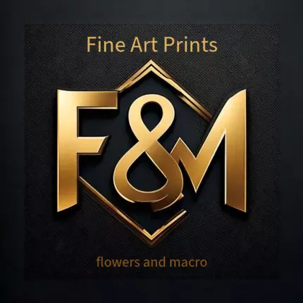 Logo fra F&M Fine Art Decoratie