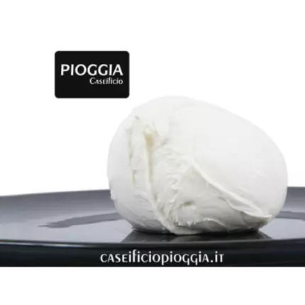 Logo von Caseificio Pioggia