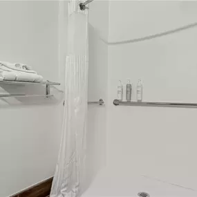 Guest room bath