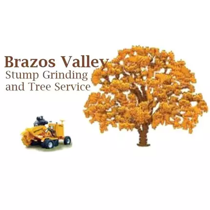 Logo fra Brazos Valley Stump Grinding And Tree Service