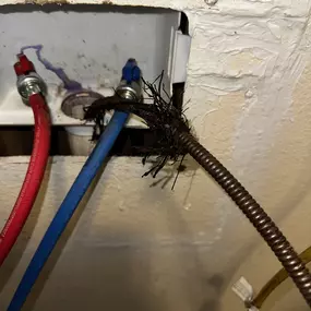 Roots in laundry drain line