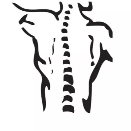 Logo van Chiropractic Fitness