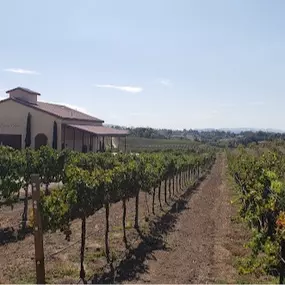 Bild von Danza del Sol Winery