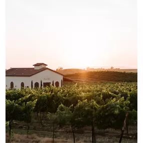 Bild von Danza del Sol Winery