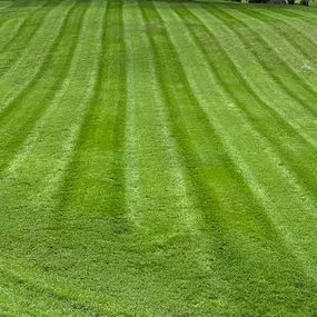 Bild von Grass Tech Lawn & Landscaping