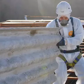 Bild von Alpha Asbestos Solutions Ltd.