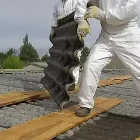 Bild von Alpha Asbestos Solutions Ltd.