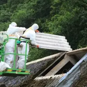 Bild von Alpha Asbestos Solutions Ltd.